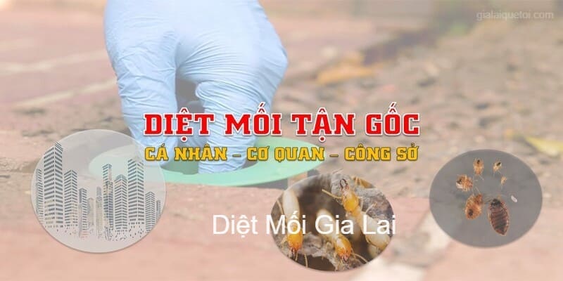 Diệt mối tận gốc uy tín