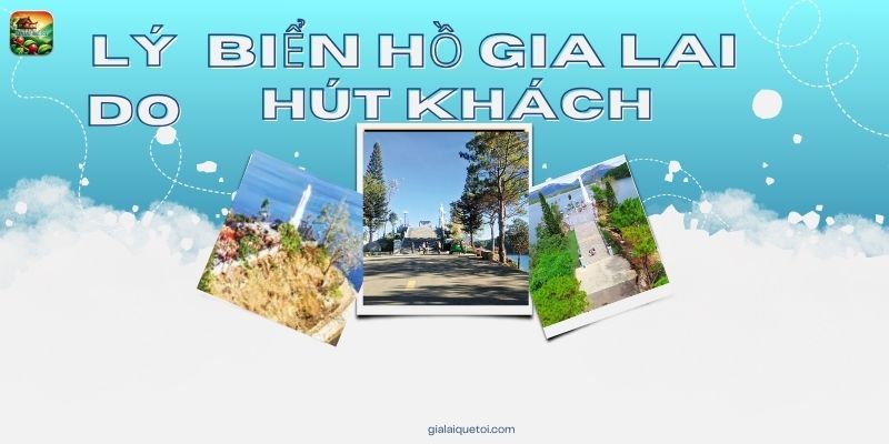 Lý do biển hồ Gia Lai hút khách