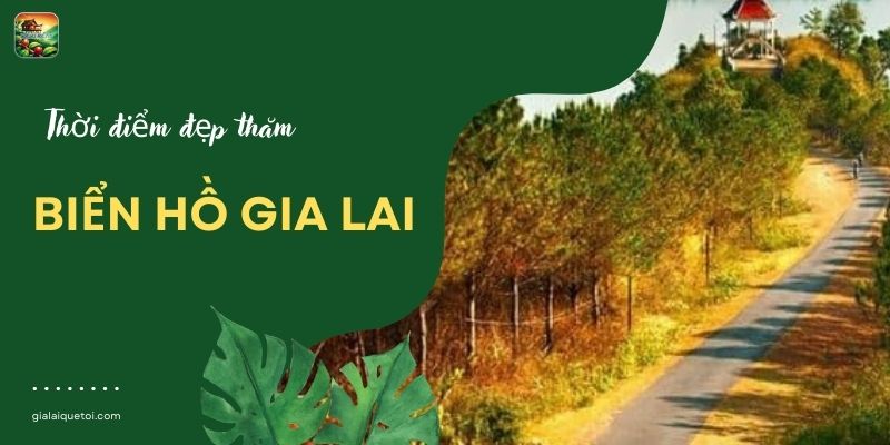 Thời điểm đẹp thăm biển hồ Gia Lai 