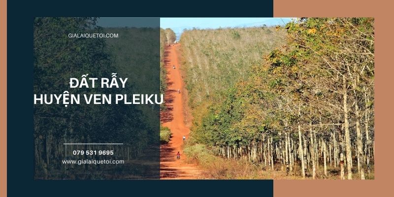 Đất rẫy huyện ven Pleiku