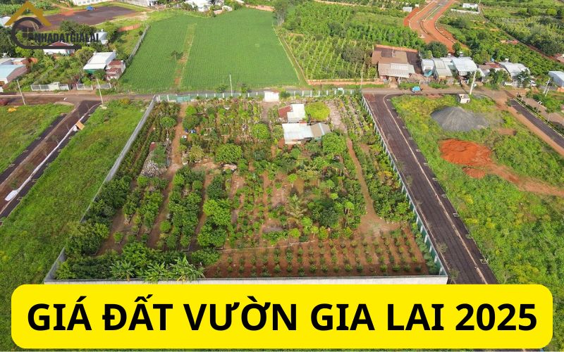 Giá đất vườn Gia Lai 2025