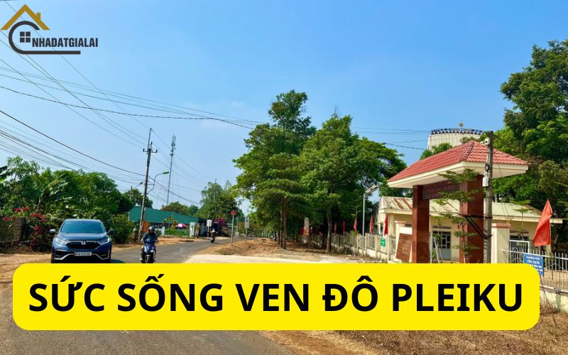 Sức sống vùng ven đô Pleiku
