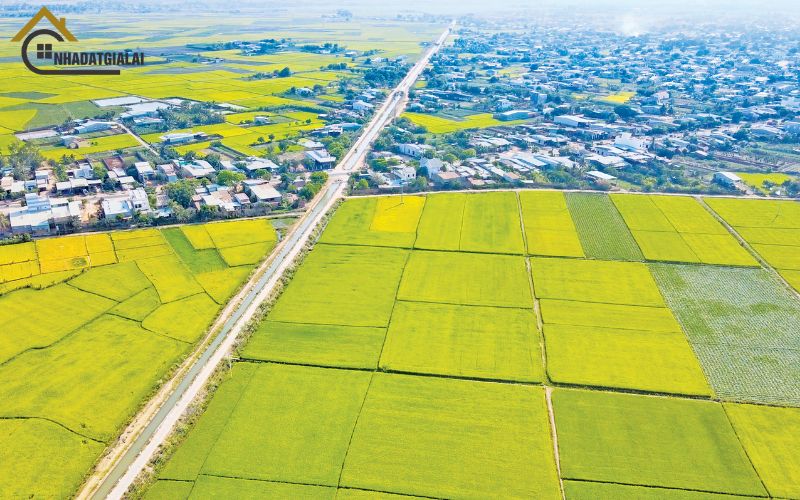 Tiềm năng phát triển đất vùng ven Gia Lai
