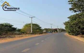 Bán đất Ia tô