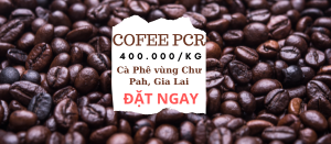 Cà phê PCR Gia Lai