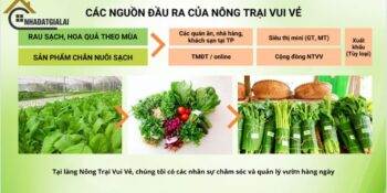 Đầu ra nông trại