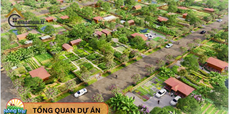 Tổng quan nông trại vui vẻ Gia Lai