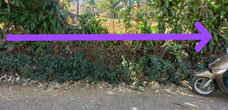 Bán Đất Hẻm 656 Lê Duẩn, Phường Thắng Lợi, TP. Pleiku – Gần Chợ, Trường Học, Ủy Ban – Đường Ô Tô Thông Tứ Hướng