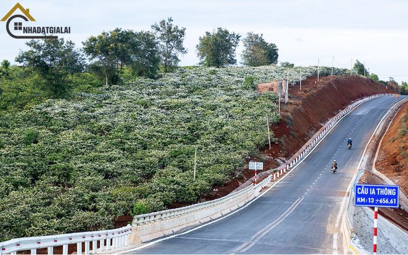 Lời khuyên khi sử dụng bảng giá đất huyện iagrai