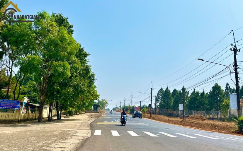 Phát triển bền vững hoạch định chiến lược lâu dài