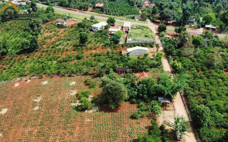 Thực trạng đất vườn gần thành phố Pleiku