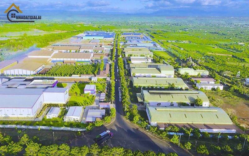 Tiềm năng thị trường gia lai